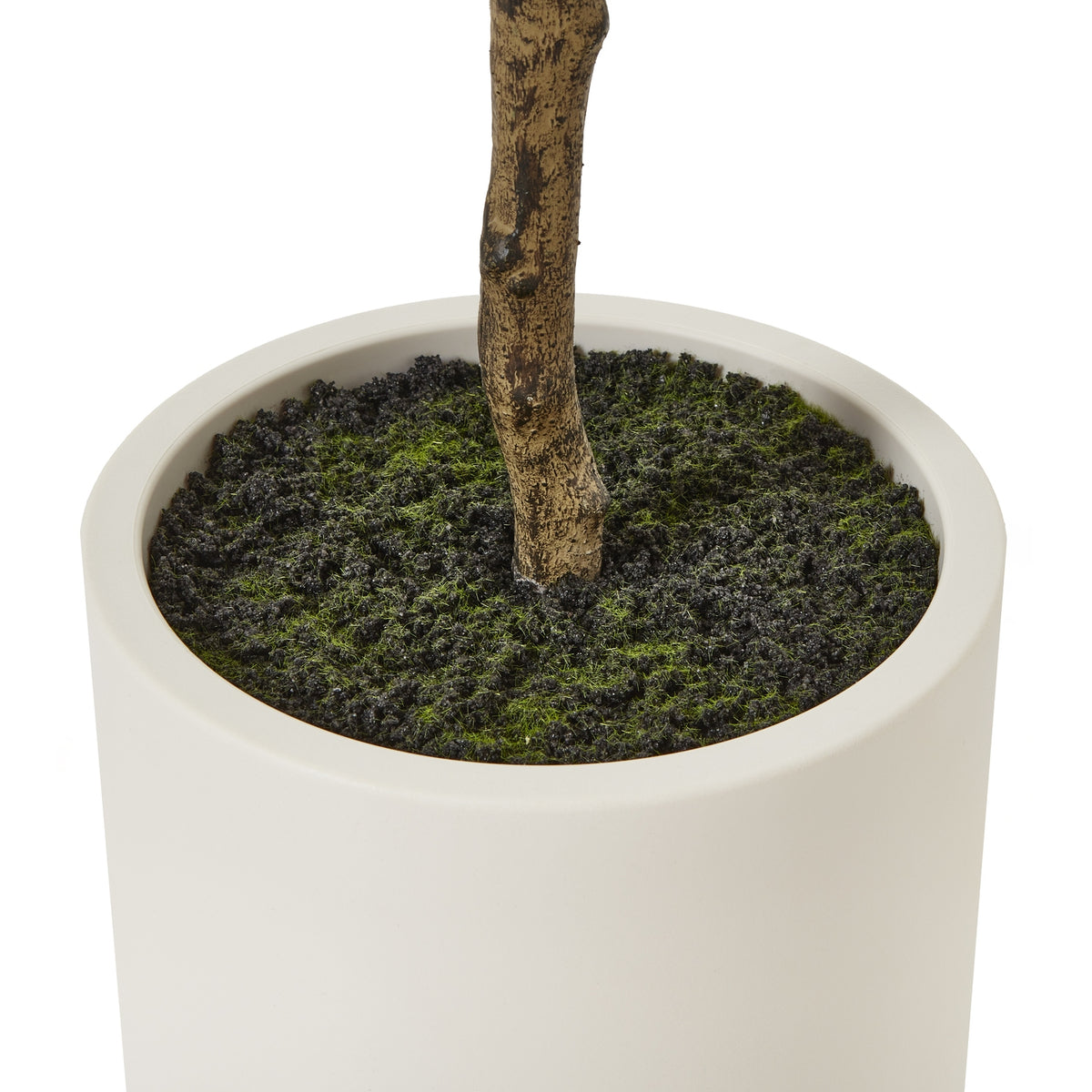 Apulia Olive Tree In White Pot Artificial Tree H180cm close up
