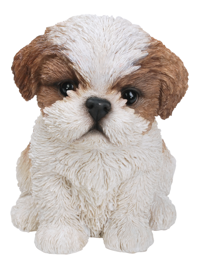 Vivid Arts Shih Tzu Puppy Pet Pal Resin Ornament | Brown & White | PP-STZU-F | H21cm | Hand Painted