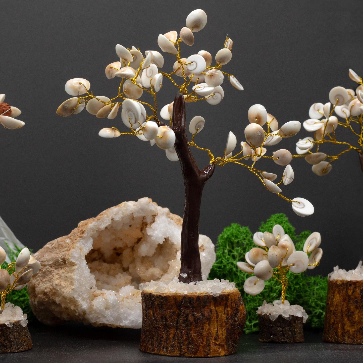 Gomati Chakra Circle Stone Tree | Large | 60 Stones | 18x13cm | New