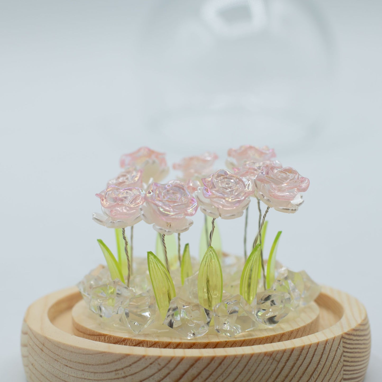 Floral Glow Garden Dome - 10 Pink Roses - LED USB