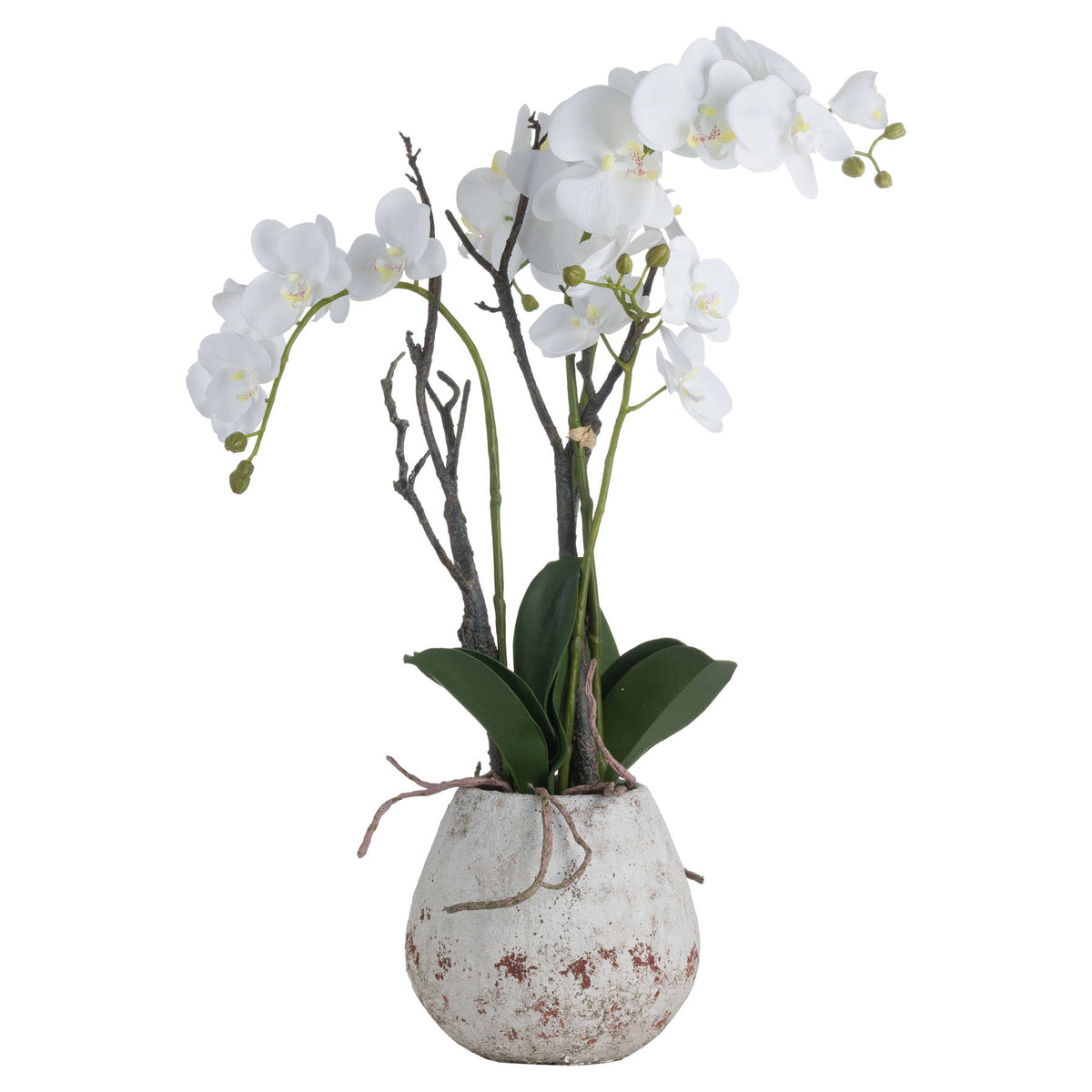 White Orchid In Stone Pot Artificial Orchid detail