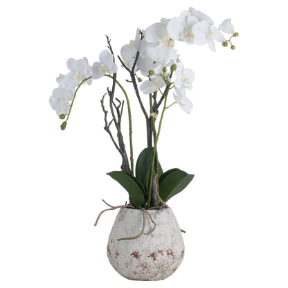 White Orchid In Stone Pot Artificial Orchid detail