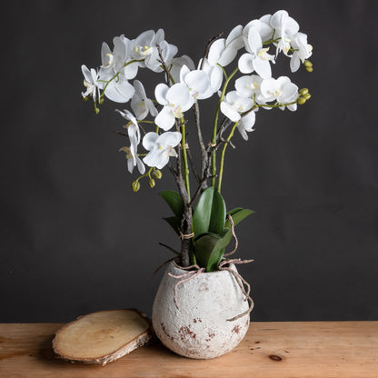 White Orchid In Stone Pot Artificial Orchid H70cm