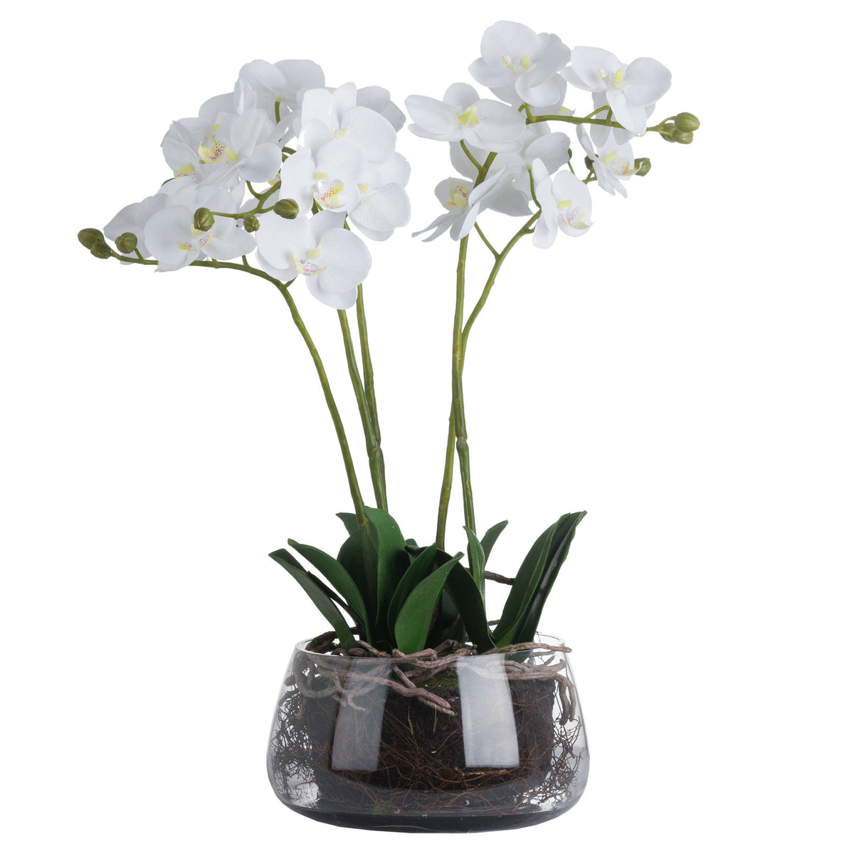 White Orchid In Glass Pot Artificial Orchid detail
