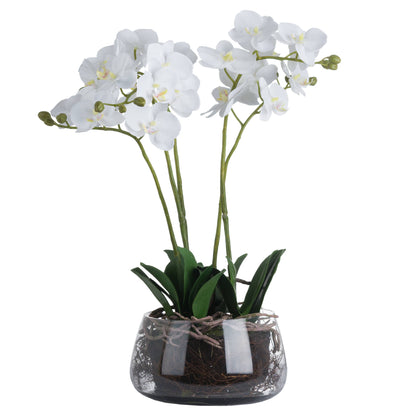 White Orchid In Glass Pot Artificial Orchid detail