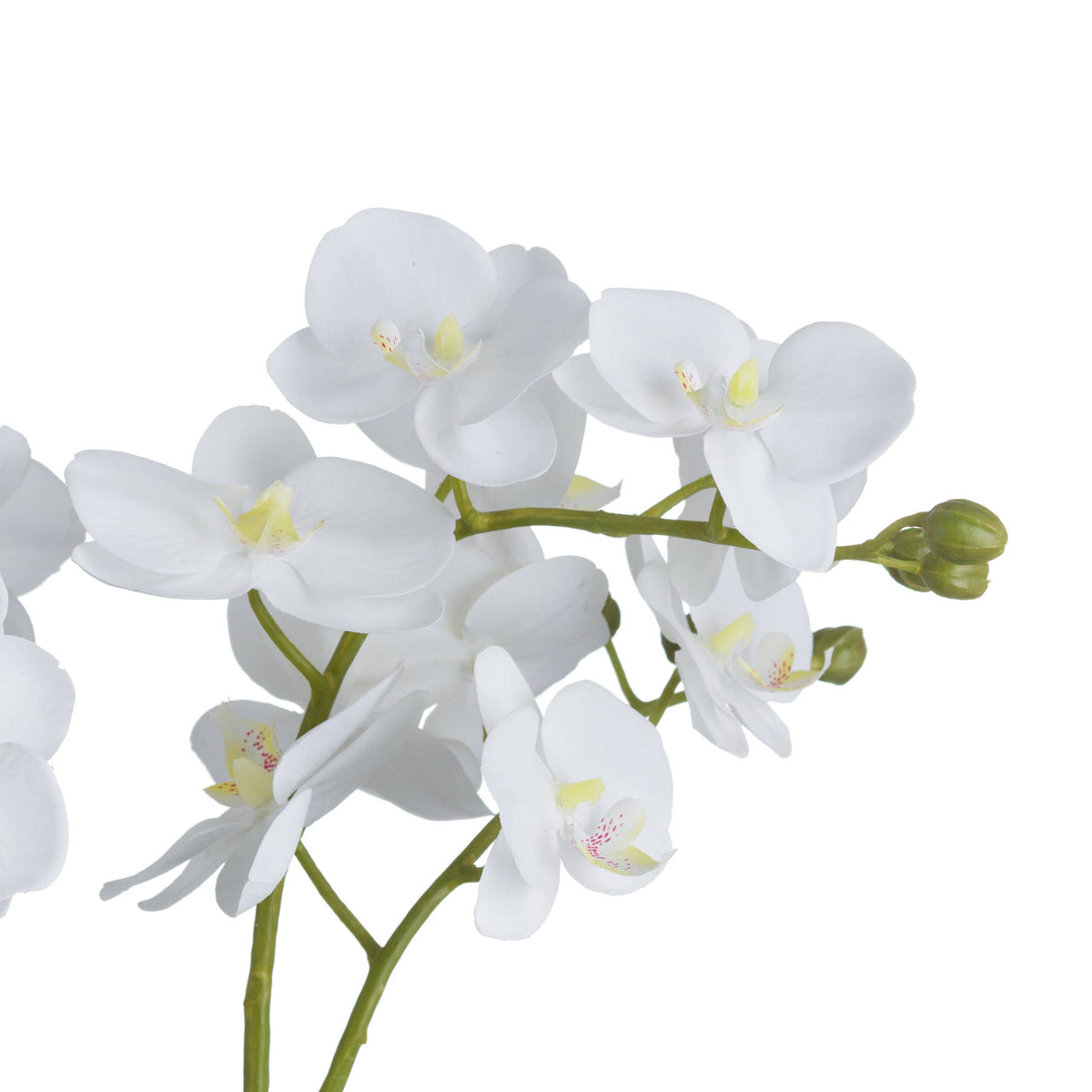 White Orchid In Glass Pot Artificial Orchid room setting