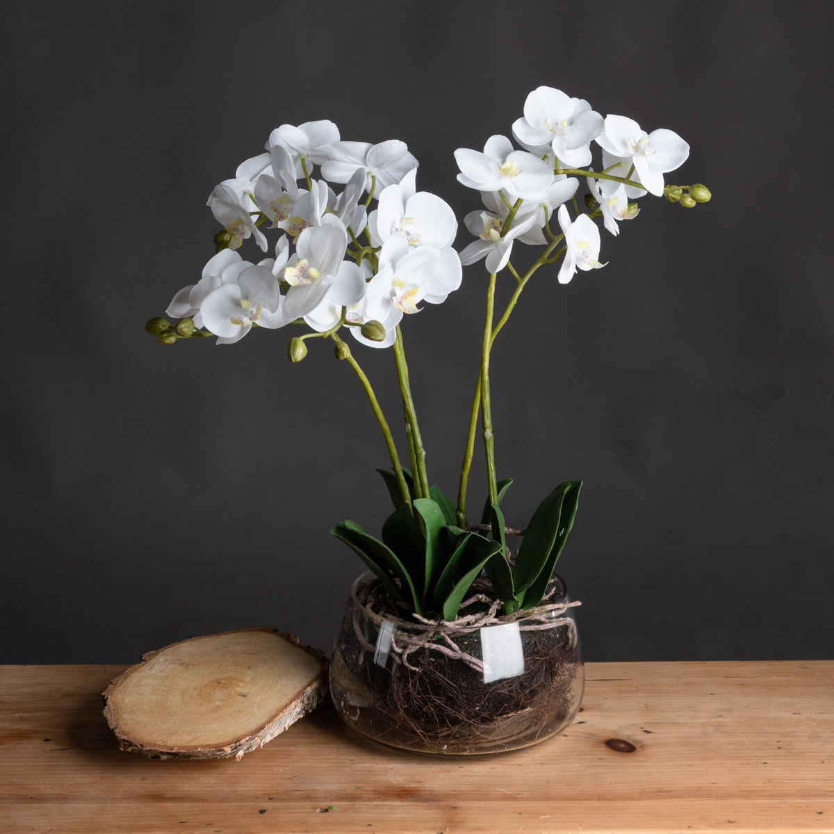White Orchid In Glass Pot Artificial Orchid H61cm