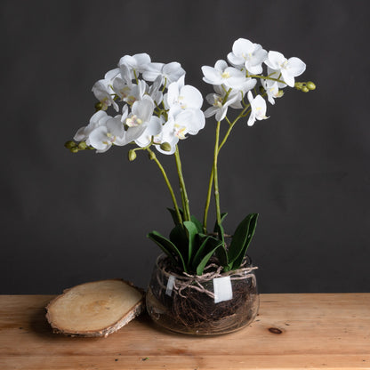 White Orchid In Glass Pot Artificial Orchid H61cm
