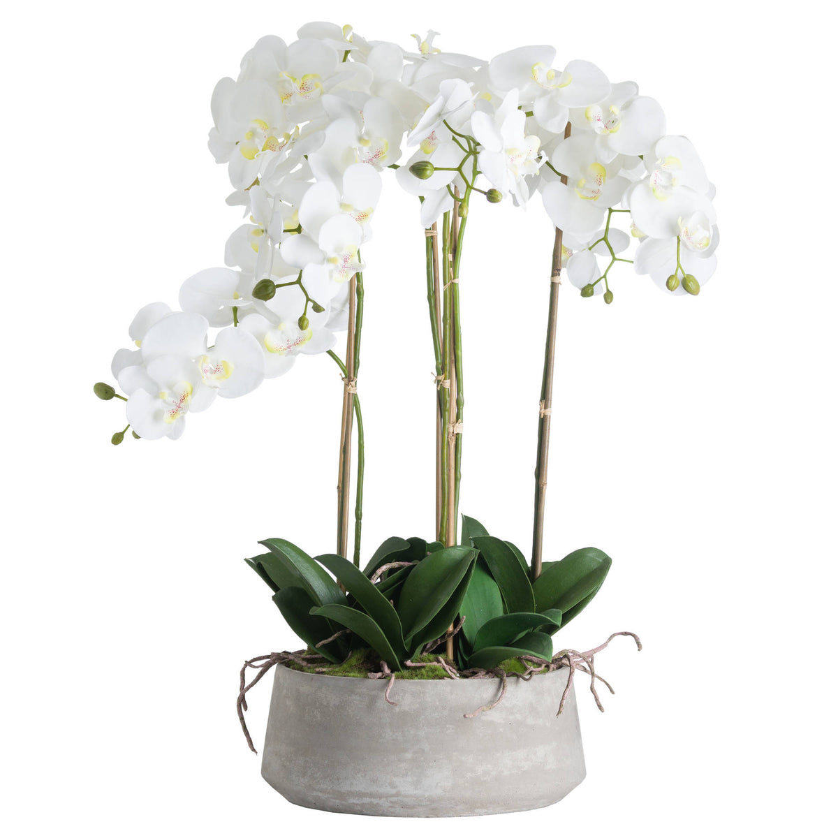 Large White Orchid In Stone Pot Artificial Orchid detail