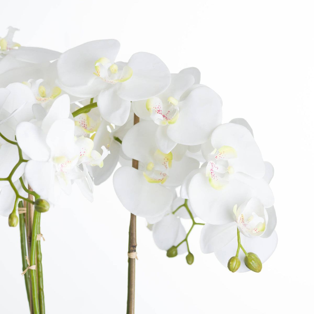 Large White Orchid In Stone Pot Artificial Orchid room setting