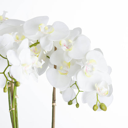 Large White Orchid In Stone Pot Artificial Orchid room setting