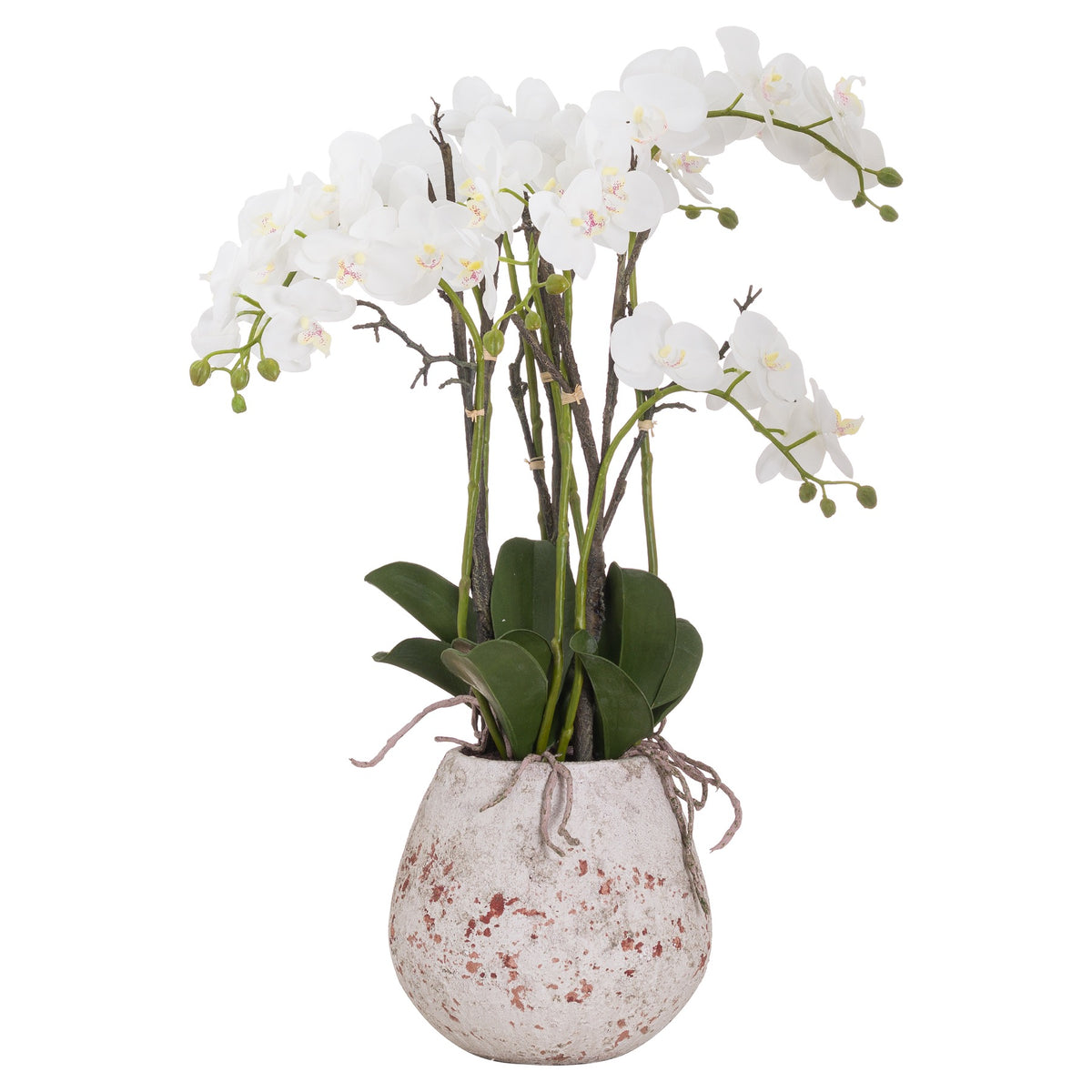 Large Stone Potted Orchid With Roots Artificial Orchid H70cm