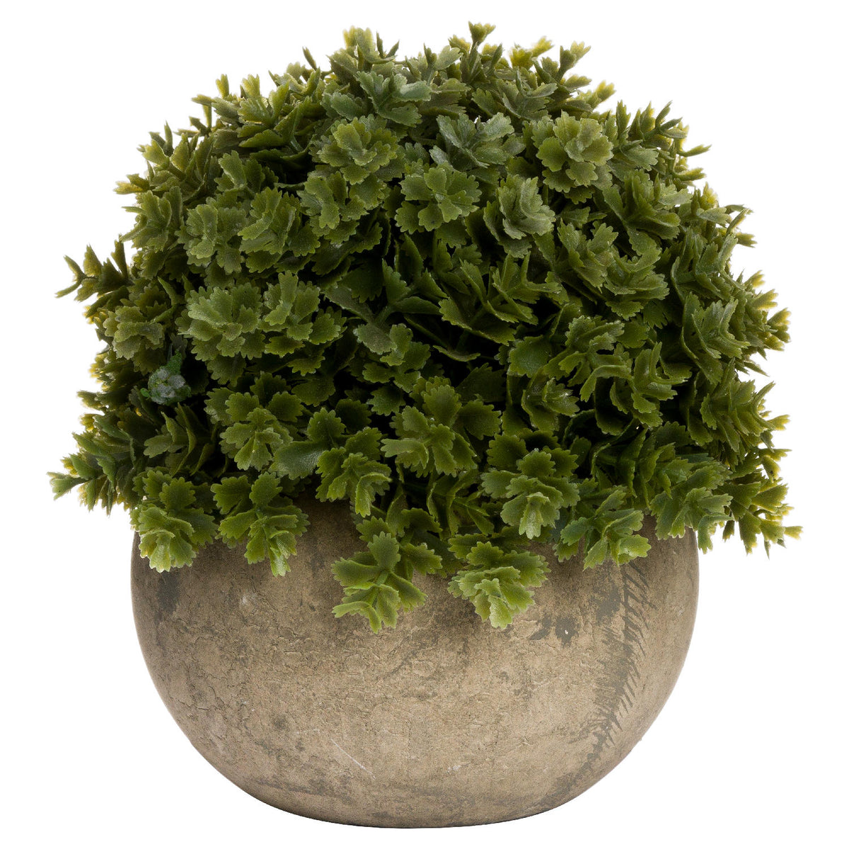 Miniature Hebe Veronica In Pot Artificial Plant H13cm