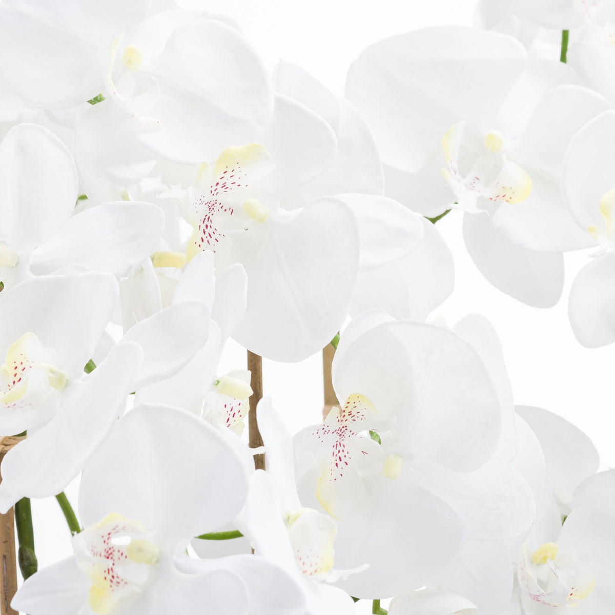Large White Tall Orchid In Glass Pot Artificial Orchid detail