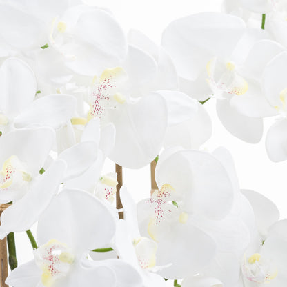Large White Tall Orchid In Glass Pot Artificial Orchid detail