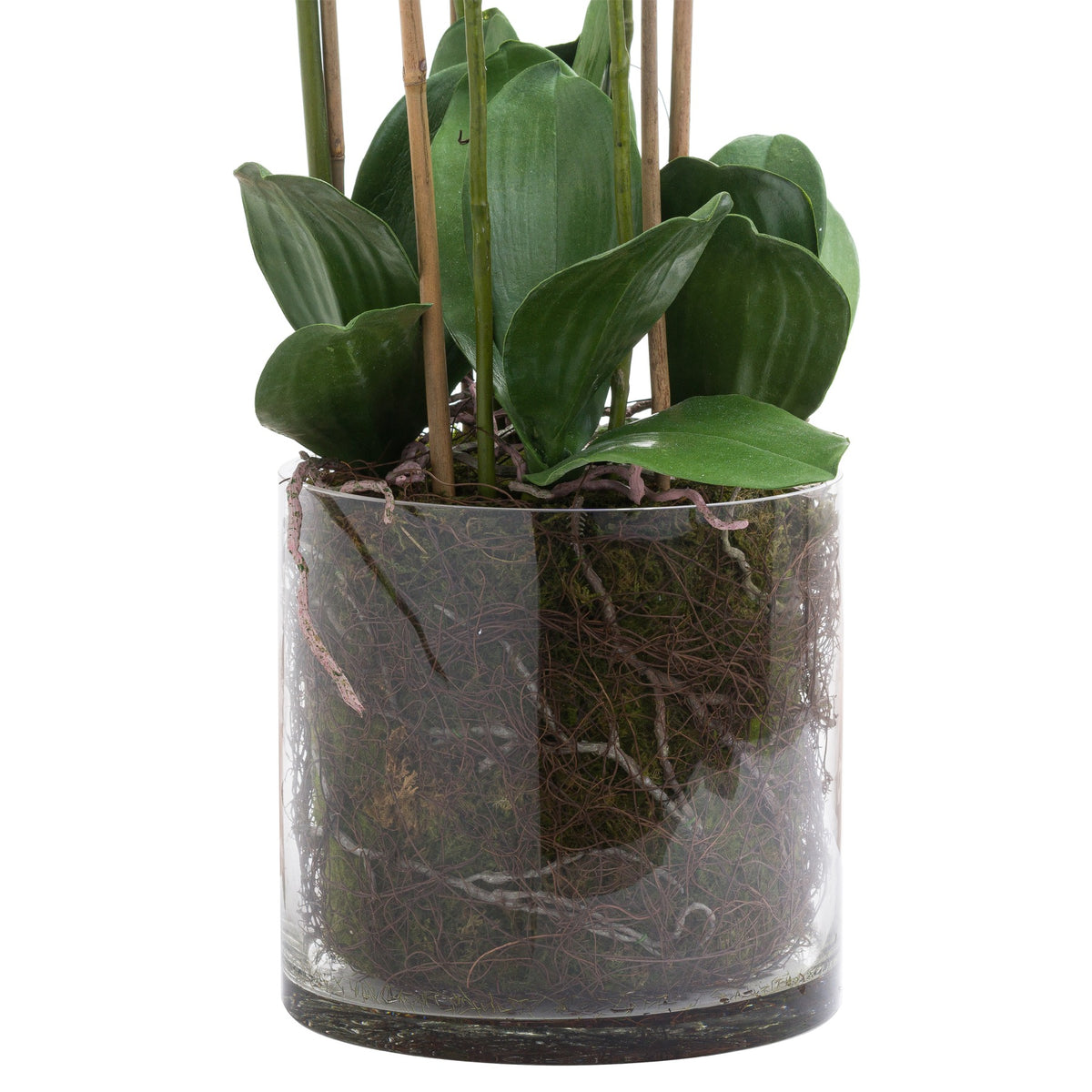 Large White Tall Orchid In Glass Pot Artificial Orchid room setting