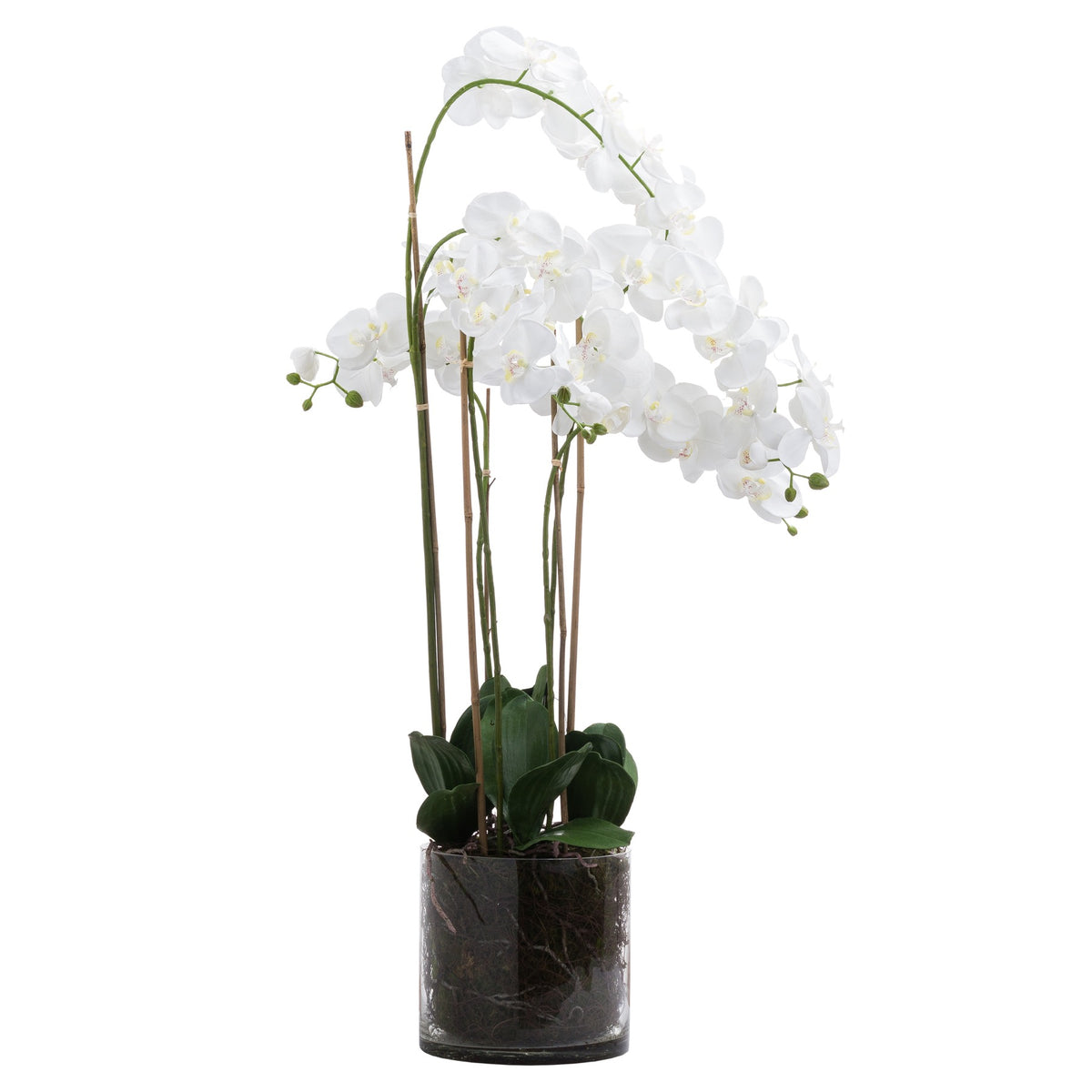 Large White Tall Orchid In Glass Pot Artificial Orchid H126cm