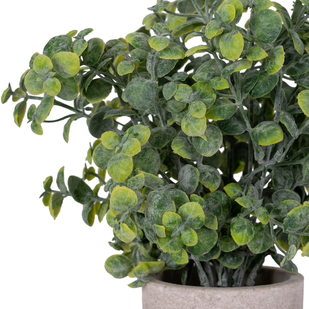 Eucalyptus Plant In Stone Effect Pot Artificial Plant detail