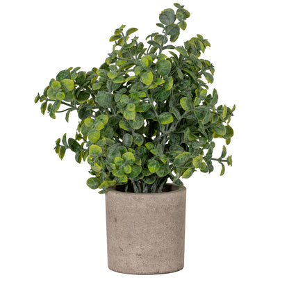 Eucalyptus Plant In Stone Effect Pot Artificial Plant H23cm