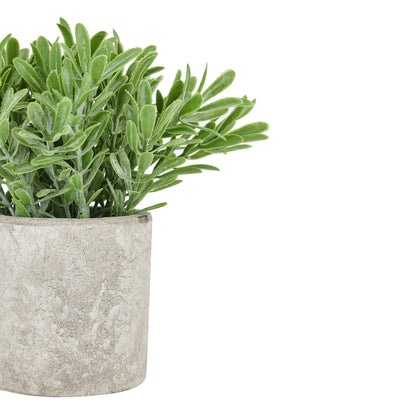 Buxus Plant In Stone Effect Pot Artificial Plant detail