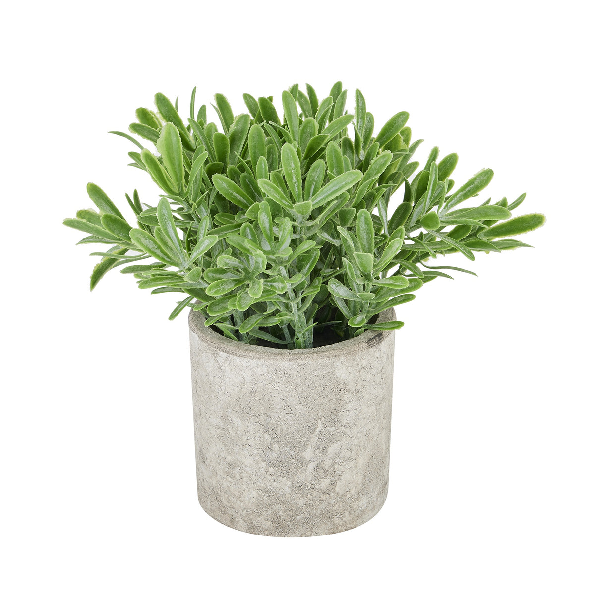 Buxus Plant In Stone Effect Pot Artificial Plant H20cm