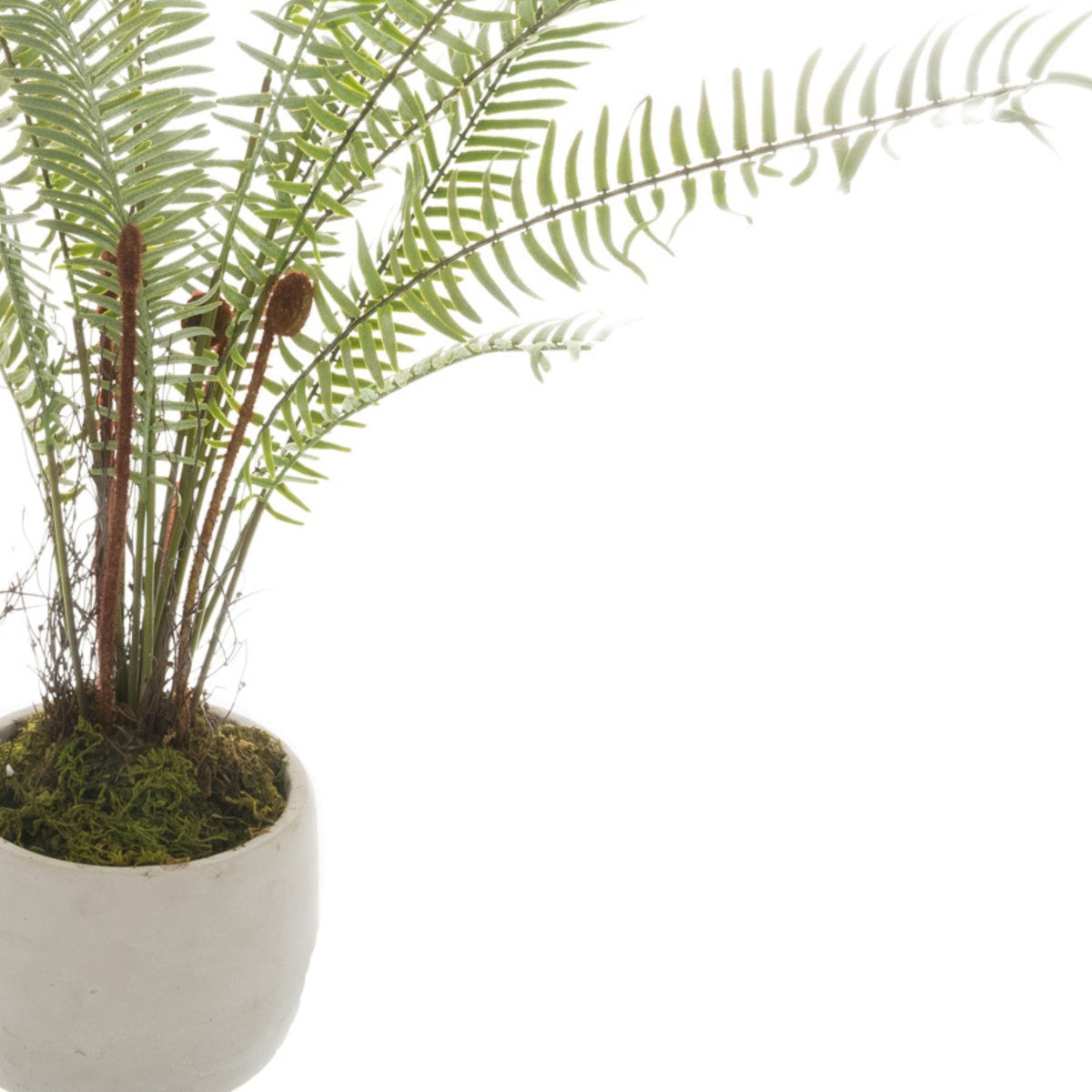 White Potted Boston Fern Artificial Fern detail