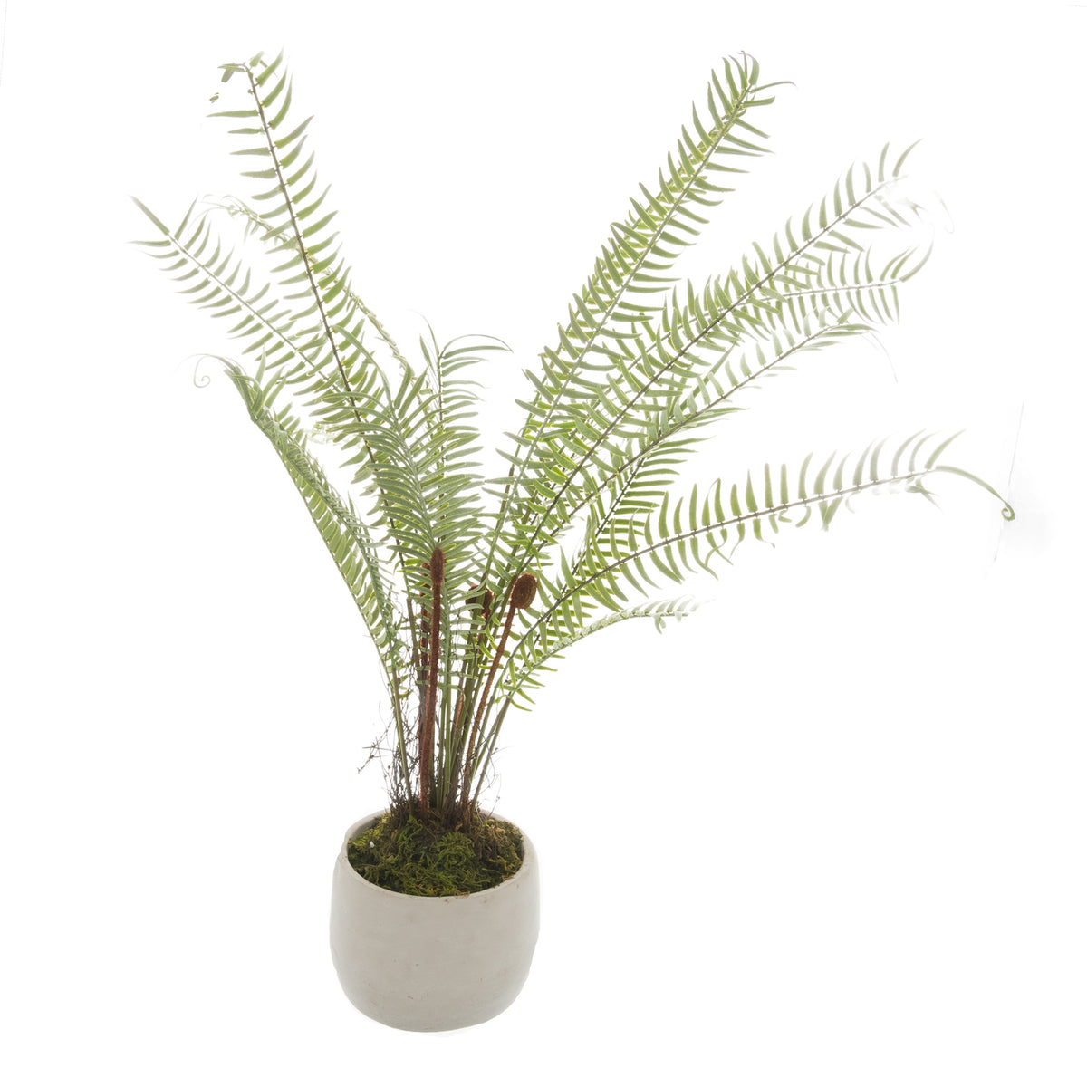 White Potted Boston Fern Artificial Fern Faux Plant