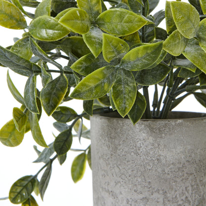 Small Box Plant In Grey Pot Artificial Plant detail