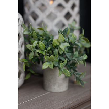 Small Box Plant In Grey Pot Artificial Plant room setting