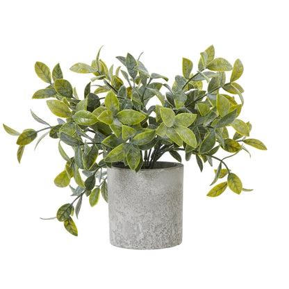 Small Box Plant In Grey Pot Artificial Plant H20cm