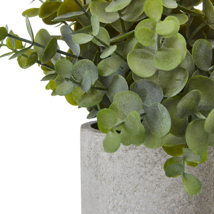 Small Button Eucalyptus Plant In Grey Pot Artificial Plant detail