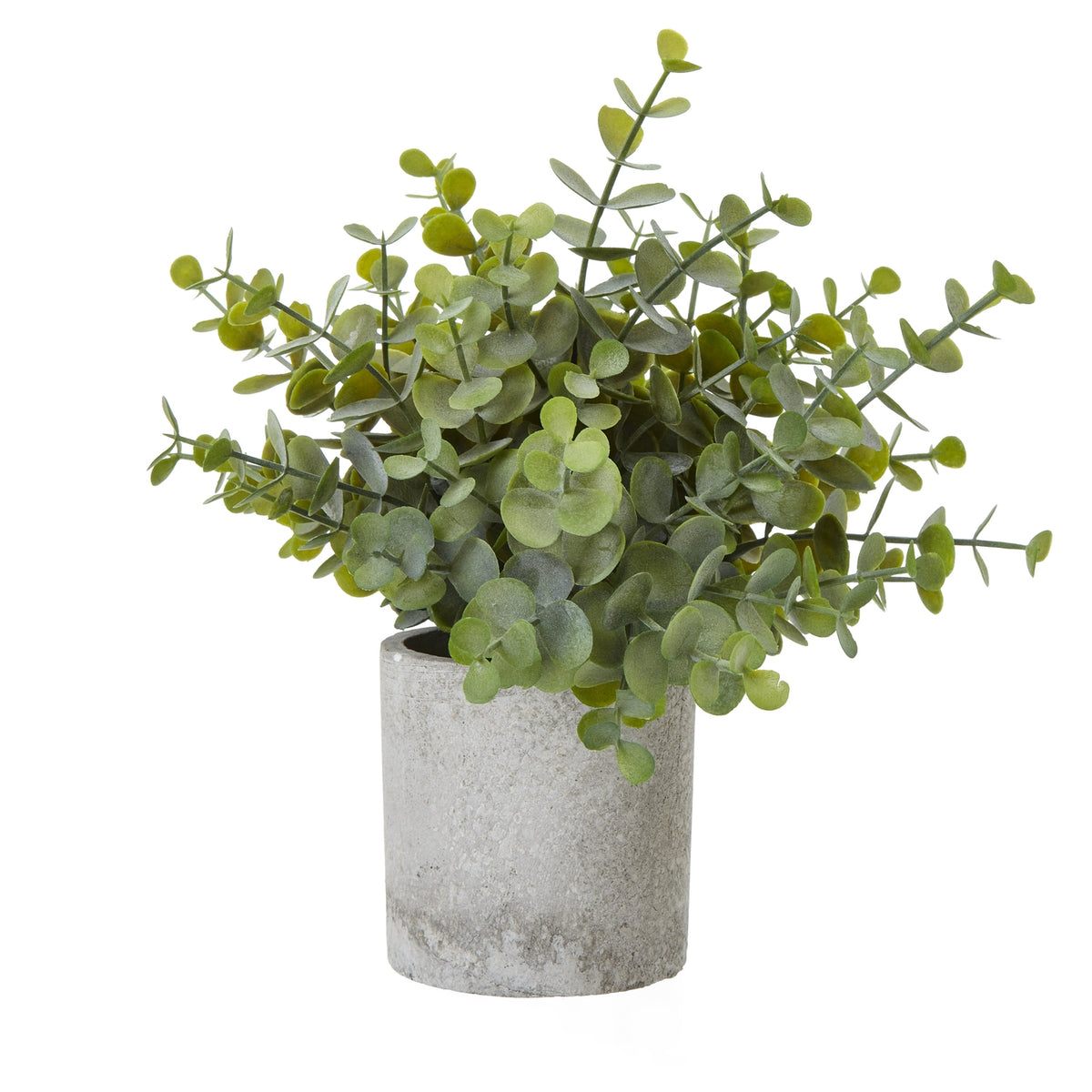 Small Button Eucalyptus Plant In Grey Pot Artificial Plant H22cm