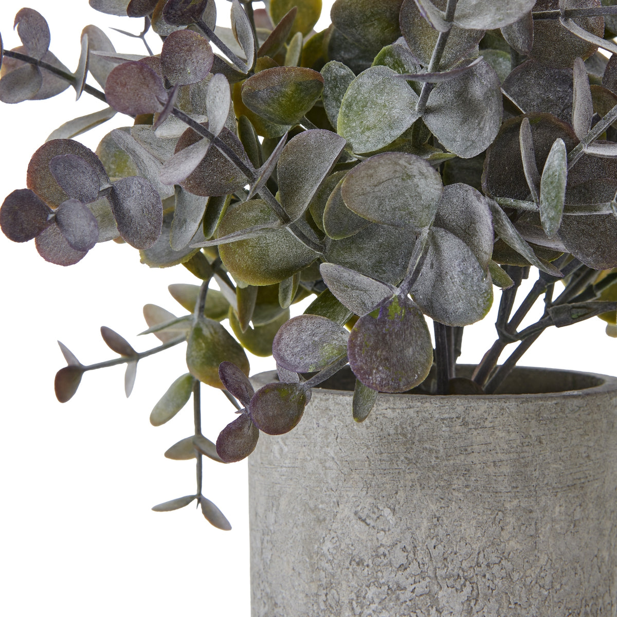 Small Eucalyptus Cinerea Plant In Grey Pot Artificial Plant detail