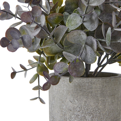 Small Eucalyptus Cinerea Plant In Grey Pot Artificial Plant detail