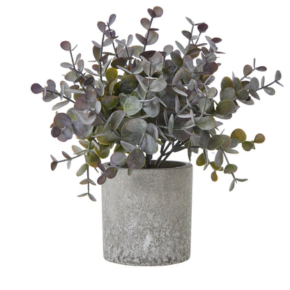 Small Eucalyptus Cinerea Plant In Grey Pot Artificial Plant H22cm