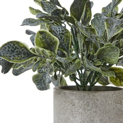 Small Giana Eucalyptus Plant In Grey Pot Artificial Plant detail