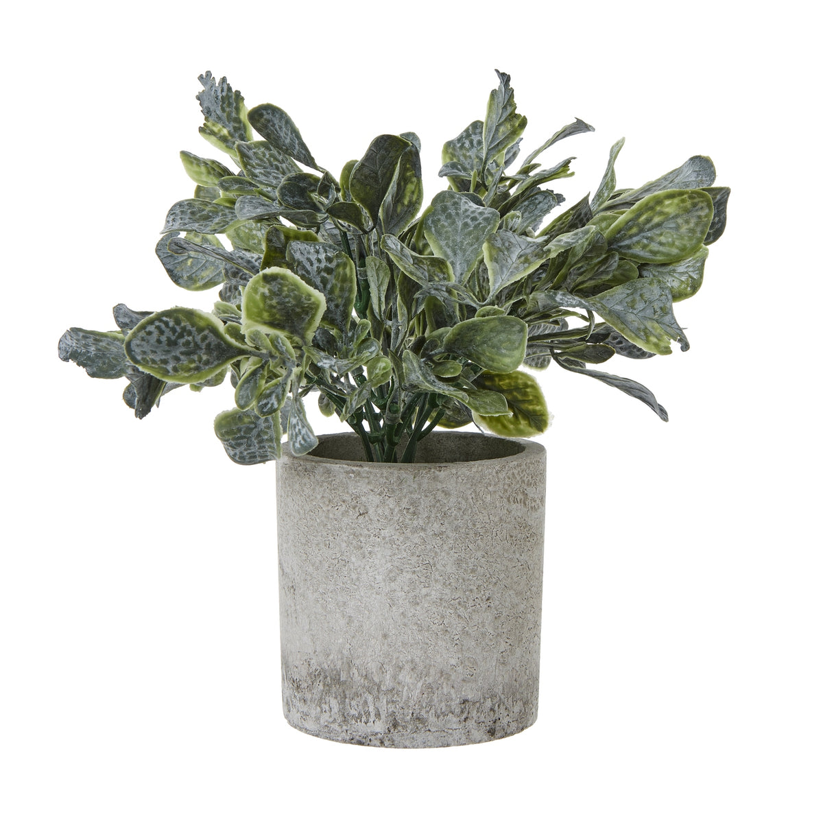 Small Giana Eucalyptus Plant In Grey Pot Artificial Plant H20cm