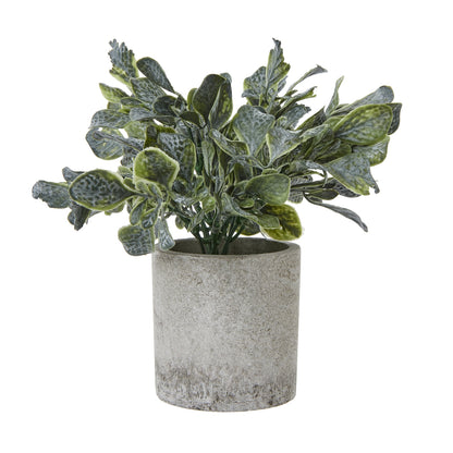 Small Giana Eucalyptus Plant In Grey Pot Artificial Plant H20cm