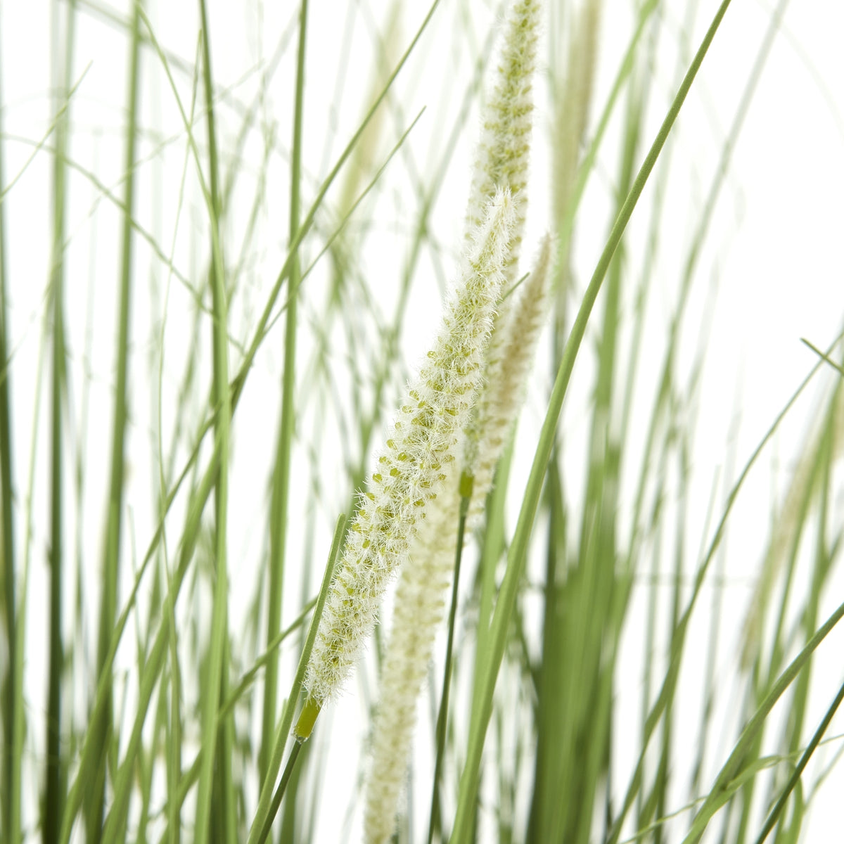 Large Onion Grass Plant In Pot Artificial Plant detail