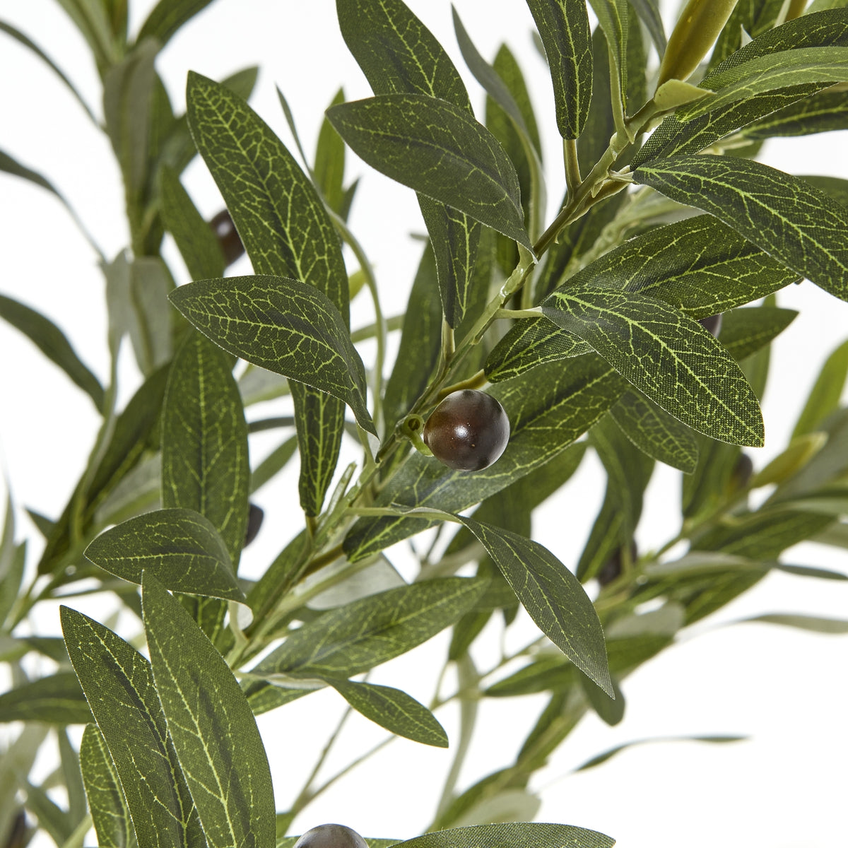 Apulia Olive Tree In White Pot Artificial Tree H180cm detail