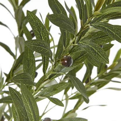 Apulia Olive Tree In White Pot Artificial Tree H180cm detail
