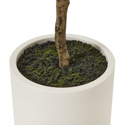 Apulia Olive Tree In White Pot Artificial Tree H180cm close up