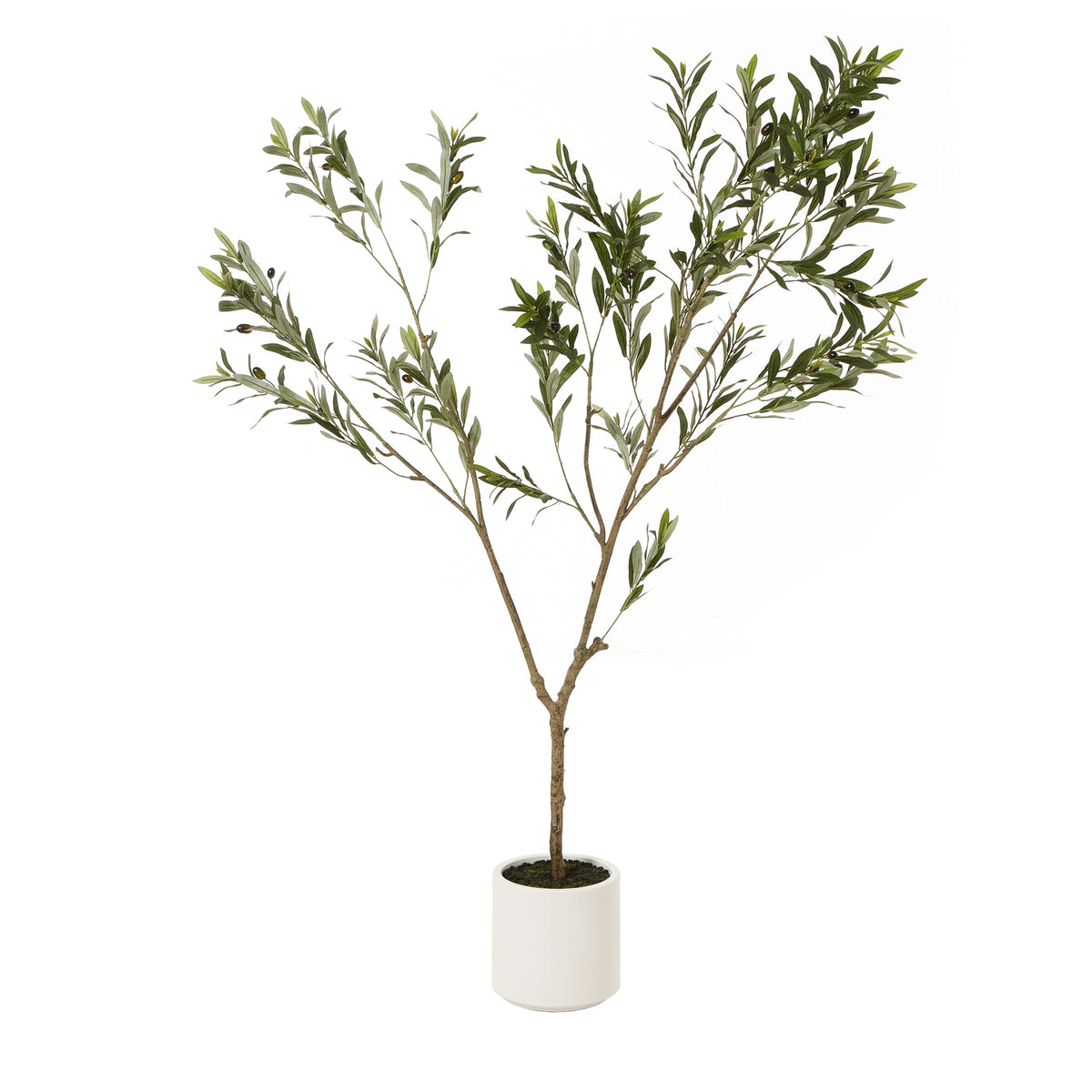 Apulia Olive Tree In White Pot Artificial Tree H180cm