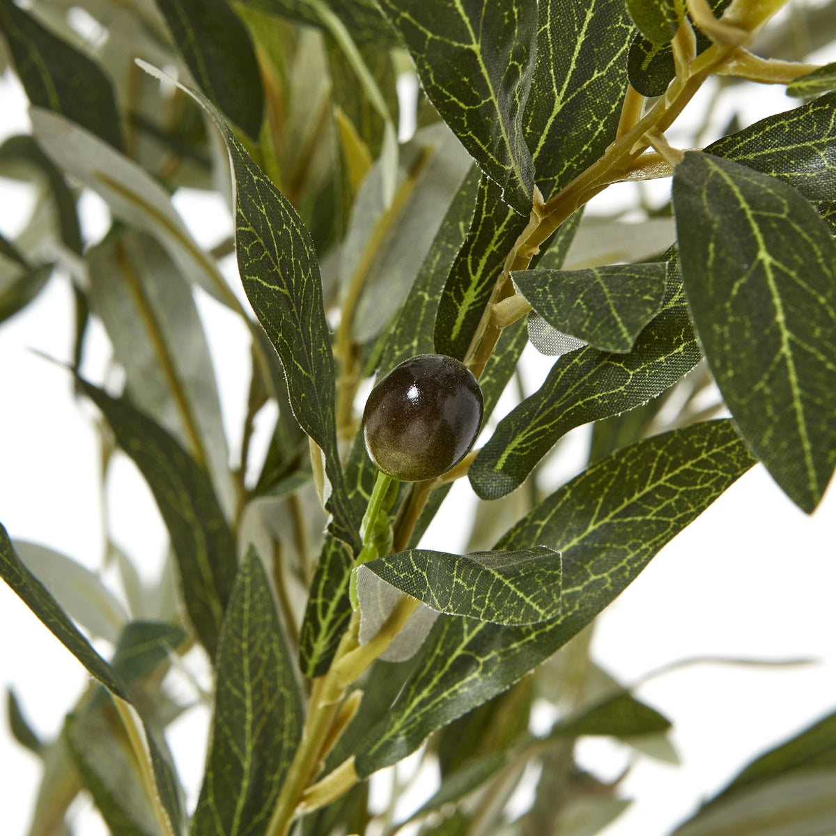 Apulia Olive Tree In White Pot Artificial Tree H210cm detail