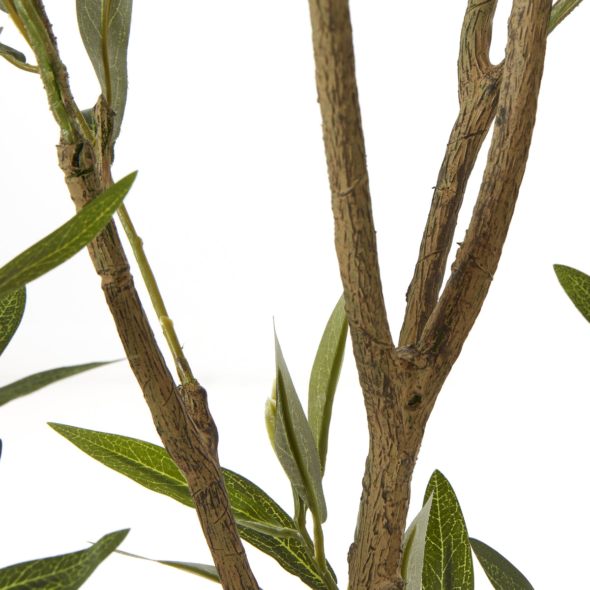 Apulia Olive Tree In White Pot Artificial Tree H210cm room setting