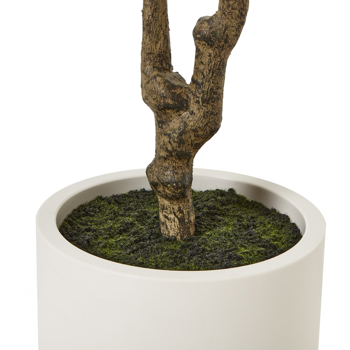 Apulia Olive Tree In White Pot Artificial Tree H210cm close up