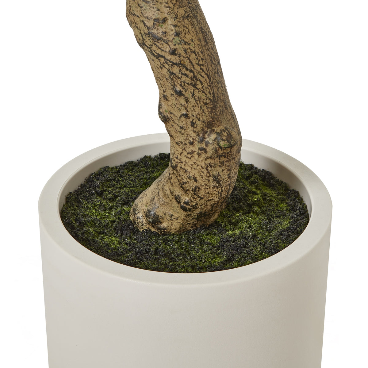 Apulia Olive Tree In White Pot Artificial Tree H200cm close up