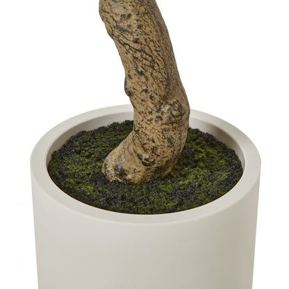 Apulia Olive Tree In White Pot Artificial Tree H200cm close up