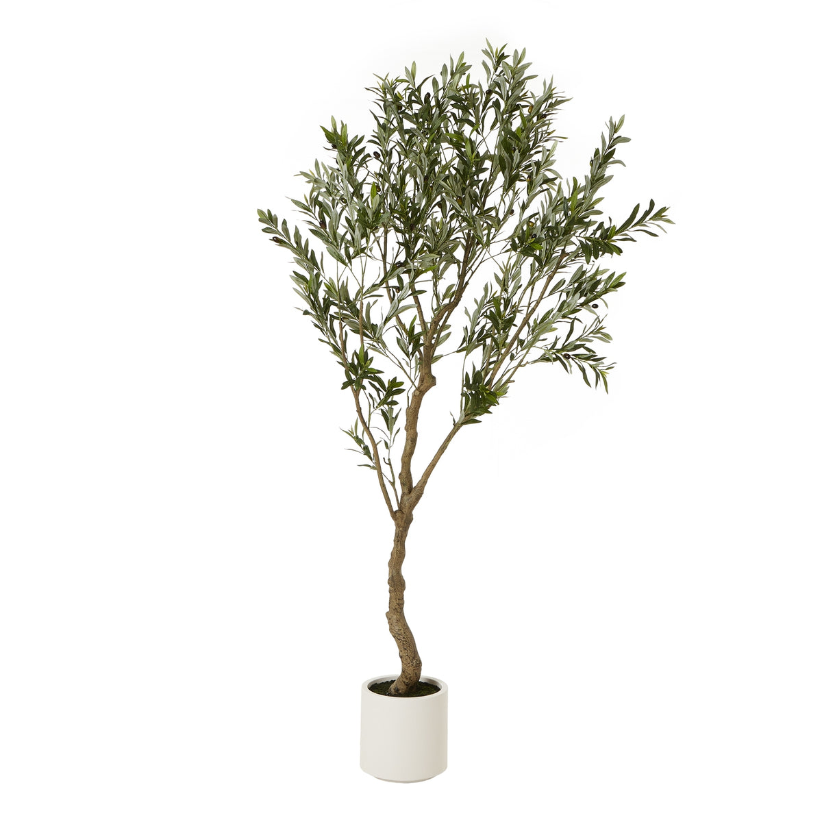 Apulia Olive Tree In White Pot Artificial Tree H200cm