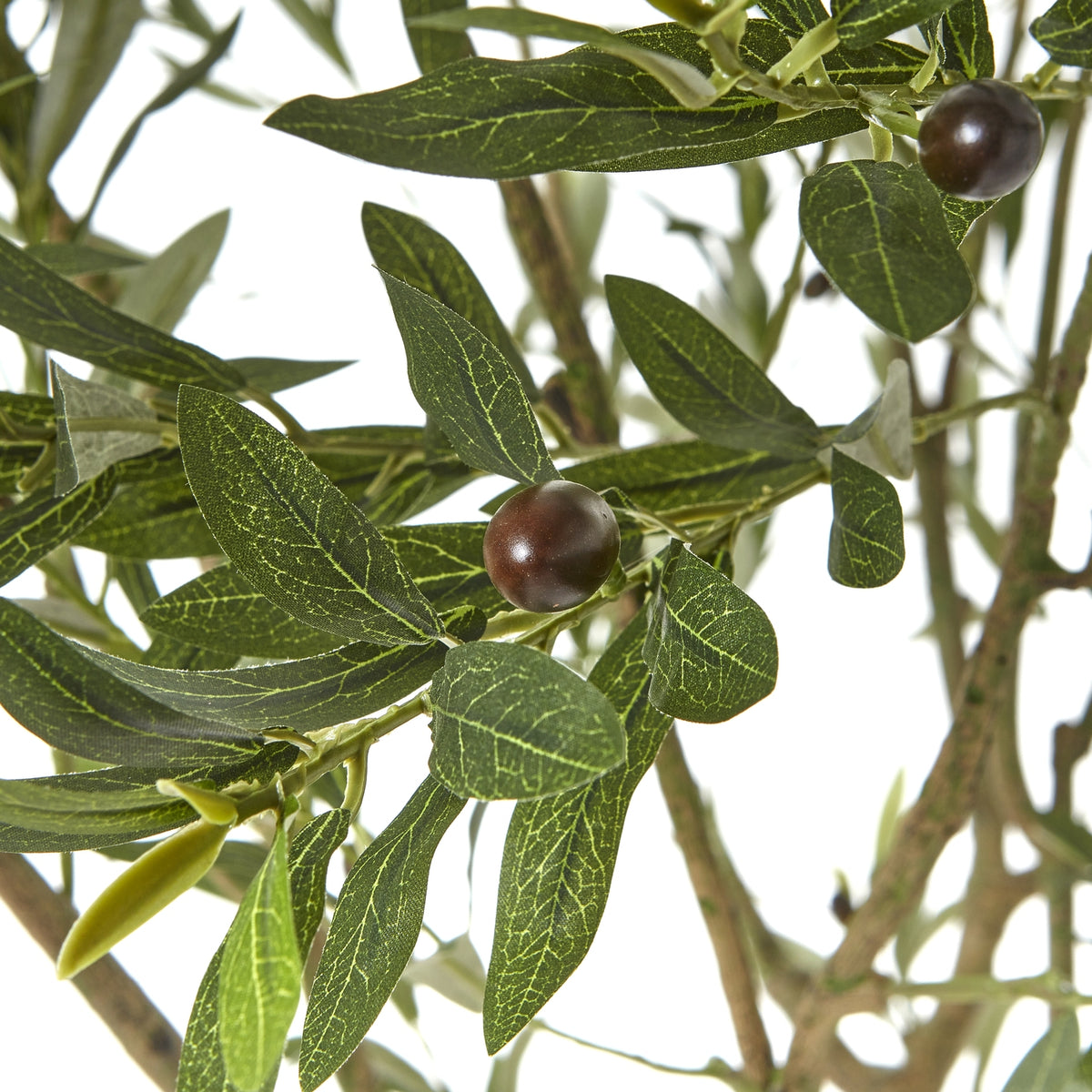 Apulia Olive Tree In White Pot Artificial Tree H240cm detail